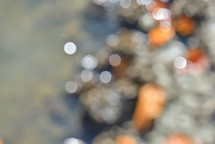 blurry view with bokeh and orange
