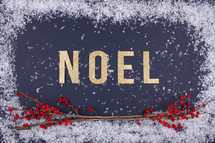 snow border with word noel 