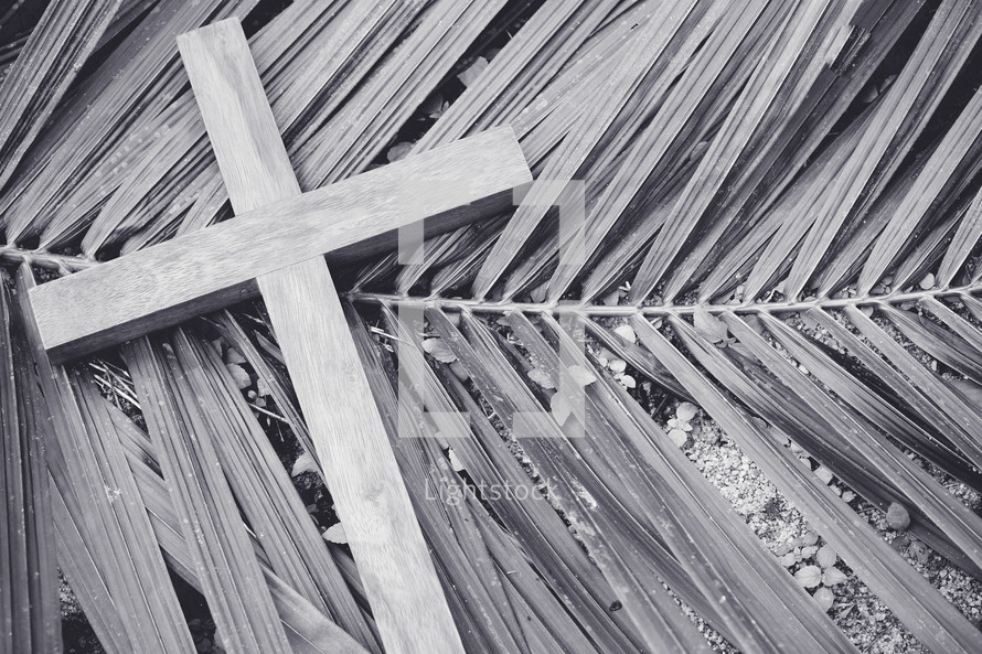 cross on a palm frond 