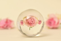 glass orb and pink rose 
