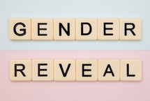 gender reveal 