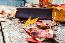 Closed Bible on a Picnic Bench