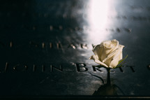 rose on a memorial 