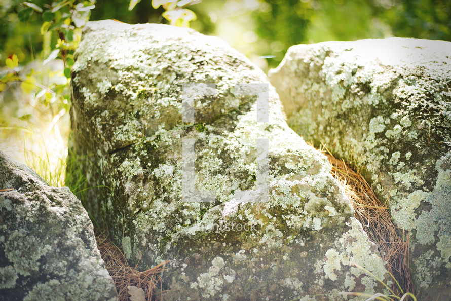 rocks with lichen