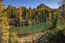 fall forest and pond 