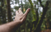 hand reaching in a forest