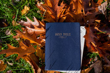 Bible in fall leaves 