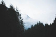 mountain peaks, fog, trees, forest, outdoors, nature 
