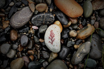 fern imprint in a stone