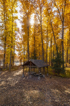 picnic area and fall forest 