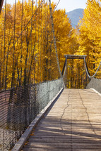 bridge and fall foliage 