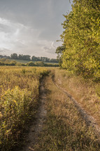 a worn path through an overgrown field 