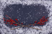 snow border and red berries 