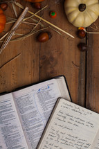 journal and Holy Bible on a wood table with pumpkins