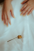 hands of a young woman and dried rose 