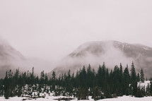 fog over mountains and trees in snow 
