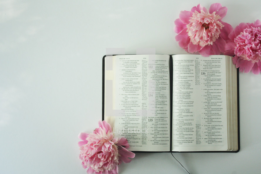 pink flowers and open Bible 