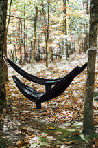 hammocks hanging between two trees in a forest 
