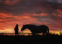 silhouette of a man with a horse under a red sky
