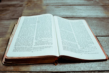 pages of an opened Bible 