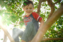 a boy climbing a tree 