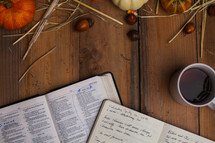 acorns, journal, pumpkins, fall, autumn, candy, cover, Holy Bible, Bible, wood table 
