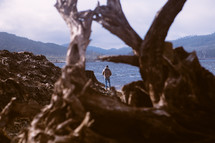 driftwood on a shore and man standing by water 