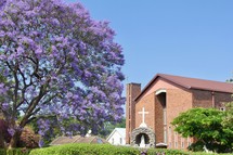 purple blooms on a tree and Catholic church 