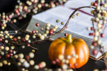 fall decorations, berries and pumpkins, and an open Bible 