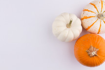 three pumpkins on a white background 