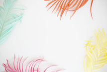 colorful feathers on white background 