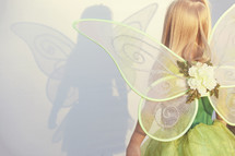 fairy costume 