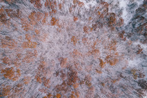 aerial view over a fall forest covered in snow 