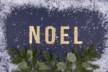 word noel with sow border 