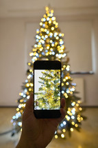 Hand holding a phone taking a close up of a Christmas tree