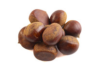 Group of hazelnuts on a white background