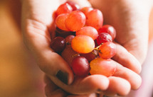 Handful of grapes.