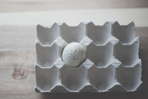 a Speckled egg in an egg carton 