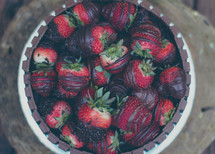chocolate covered strawberries in a bowl 