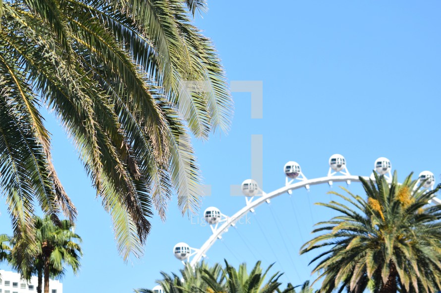 high roller ferris wheel and palm trees in Las Vegas 
