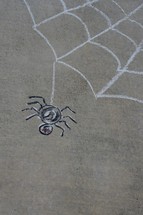 spider web with spider 