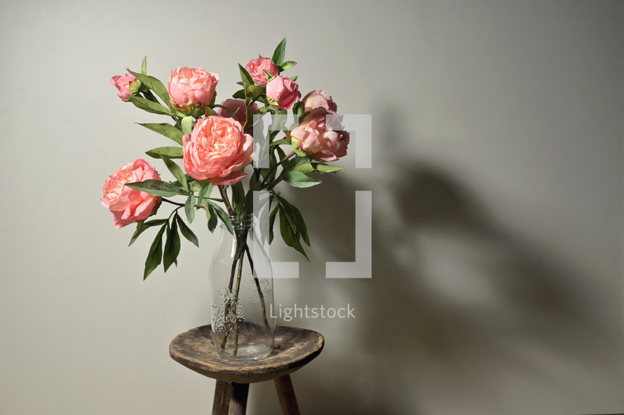 pink peonies in a vase 