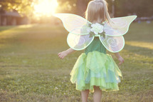 fairy costume 
