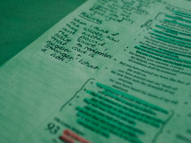 notes on the pages of a Bible 