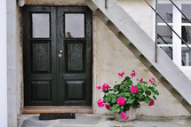 potted flower in front of a door under stairs 