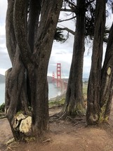 view of the San Francisco Golden Gate Bridge 