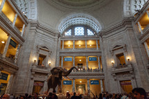 Natural History Museum interior 