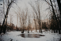 melting pond in winter 
