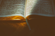 sunlight on the pages of a Bible 