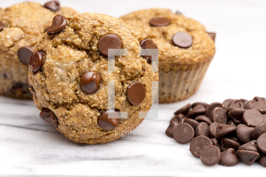chocolate chip muffin 